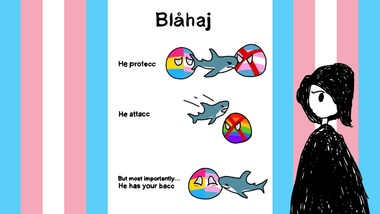 Haj Protecc Queer Meme Compilation #12