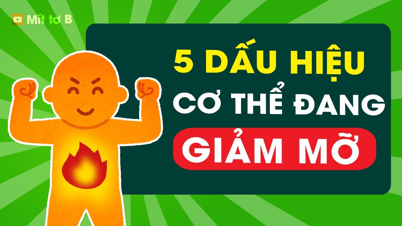 🔵 5 Dấu hiệu Cho thấy bạn Đang Đốt mỡ?
