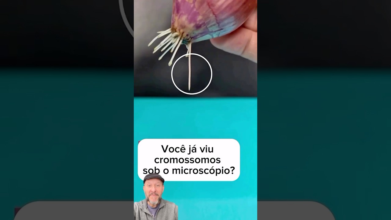 Voc&ecirc; j&aacute; viu um cromossomo?