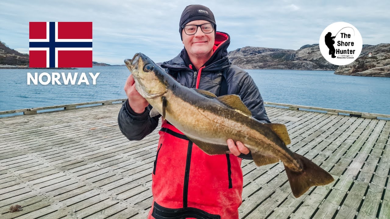 Halibut & Pollock Fishing In Norway With Wayne Hand & Stuart Jones. Shore Fishing Filmed In 5.3K.