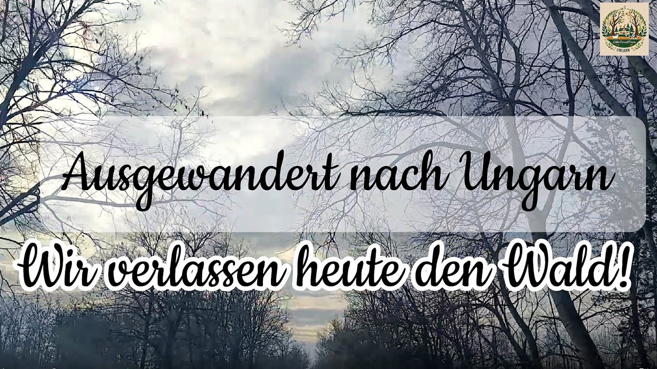  Was #MACHEN wir Heute?🇭🇺Wo geht es hin?🙏##AUSGEWANDERT nach #UNGARN🙏🇭🇺#natur#waldleben🌳#Wochenmarkt