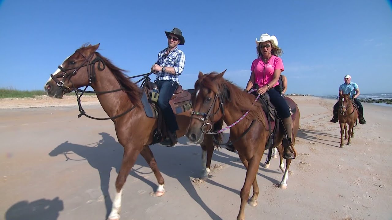 Equestrian Adventures of Florida Featured on Fox 35 Orlando