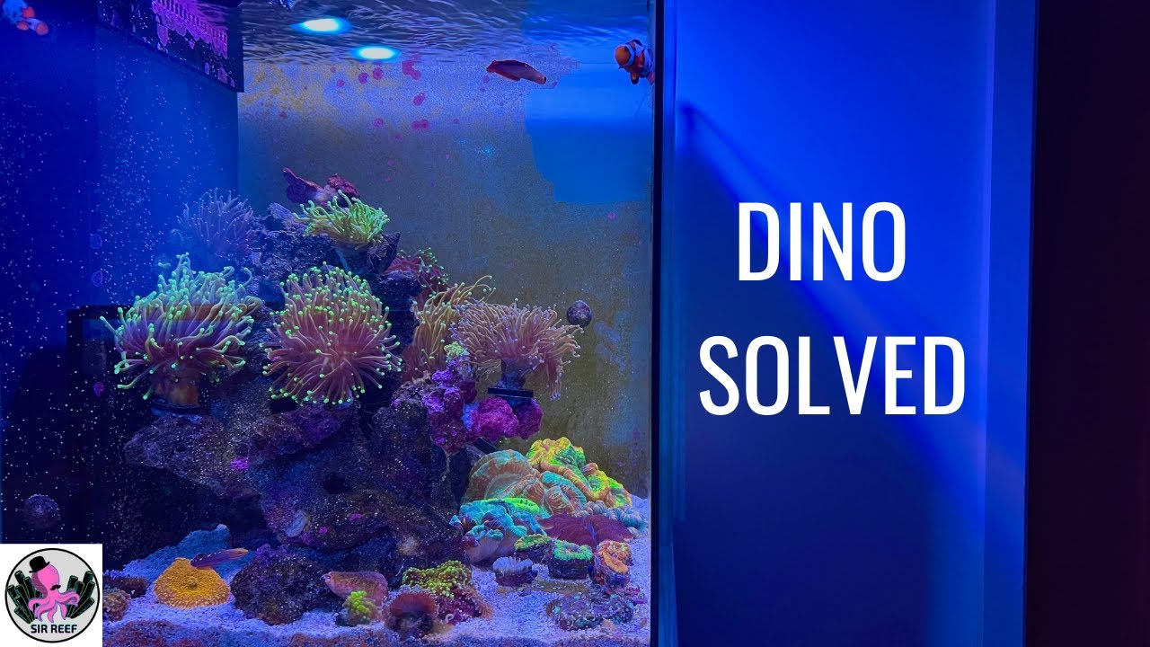 Got rid of my Dinos! How did I do it? (Step by Step)