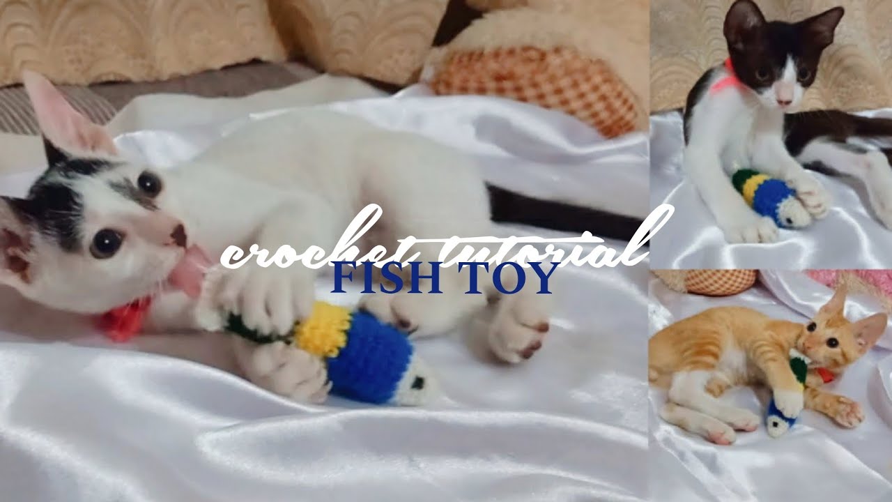 Crochet Fish Toy 🐟| Cat-approved & Colorful 🐾 😺