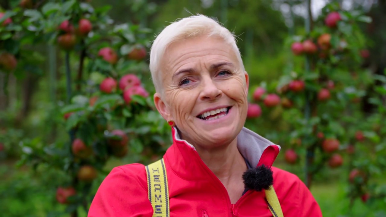Eplemost fra Grønvik Gard 🍎 | Smakslandet S3 • Episode 2 | Spesialitet