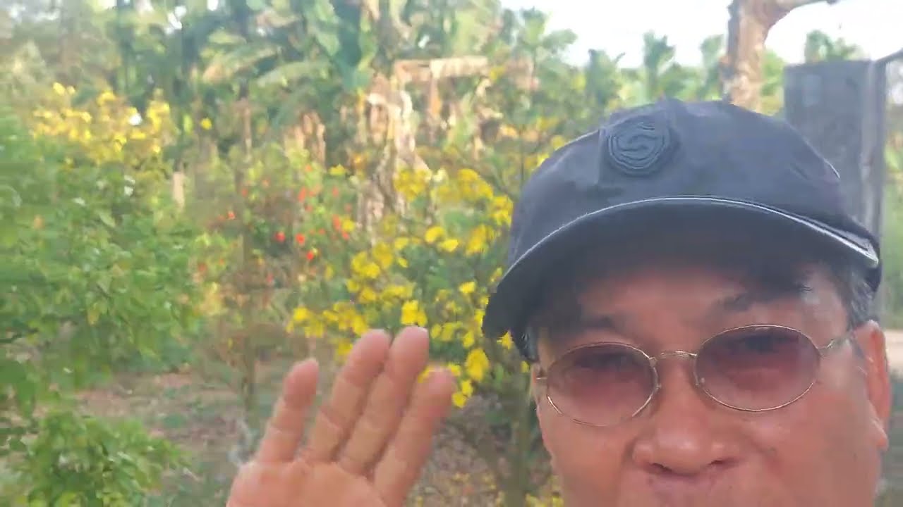 Mùa xuân về nhớ papa🙍‍♂️💕