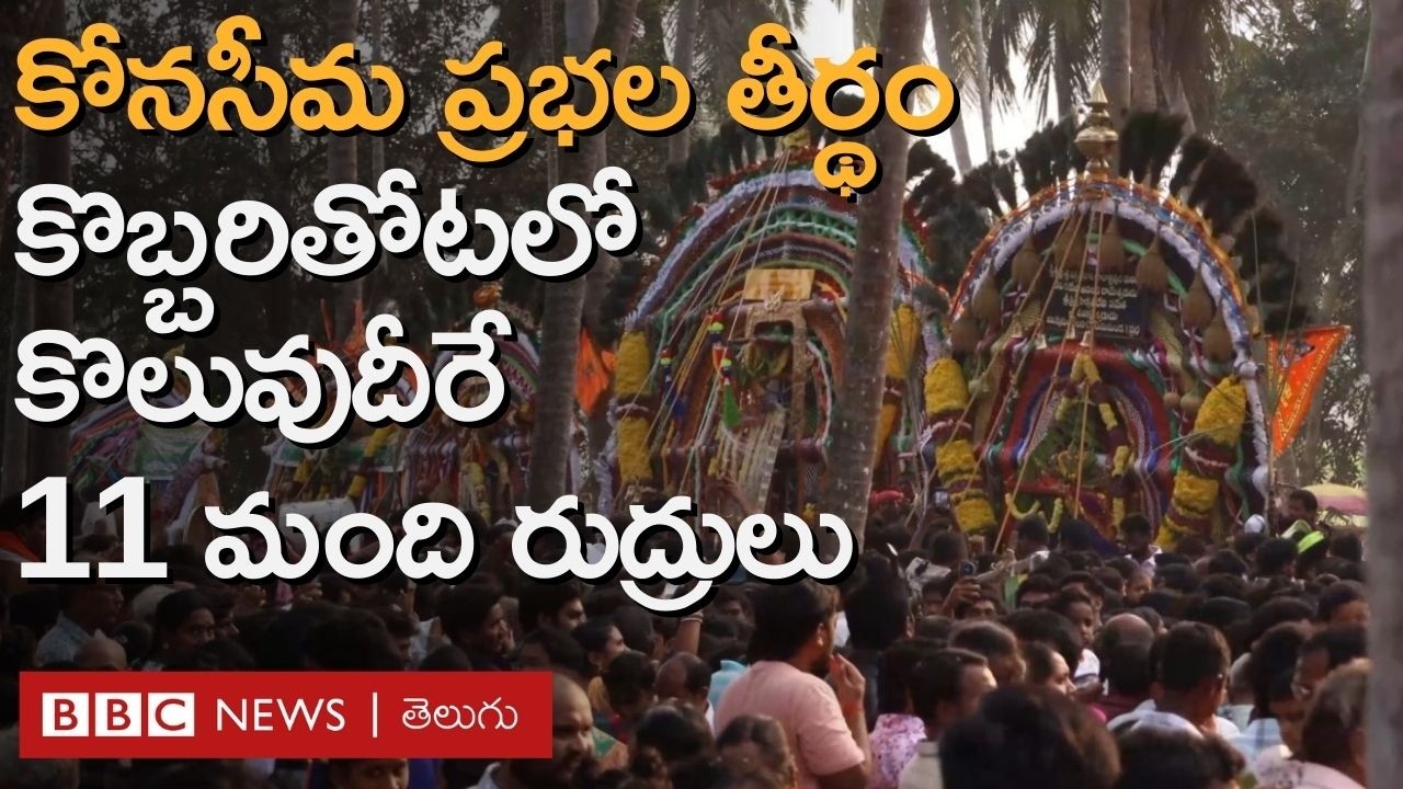 Konaseema Prabhala Theertham: కాలువలు, పంటపొలాలు దేన్నైనా దాటుకుని వెళ్లే యువత ఉత్సాహమే ఈ ఉత్సవం