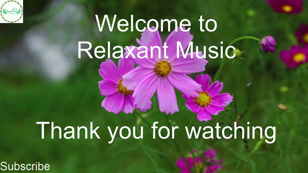 RS 78  Relaxing sound, spa background music, study music, sleep music - flower  - RELAXANT MUSIC