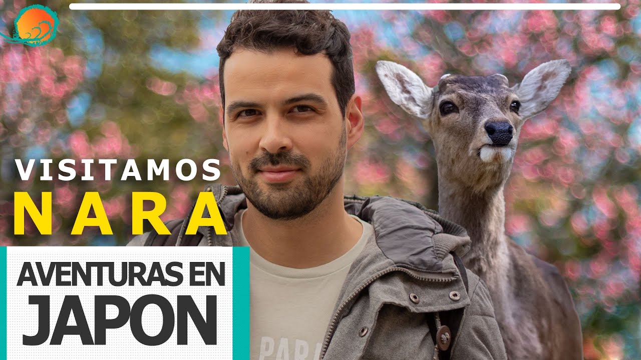 Un d&iacute;a en NARA, JAP&Oacute;N 🇯🇵 🦌  | SekaiVlog