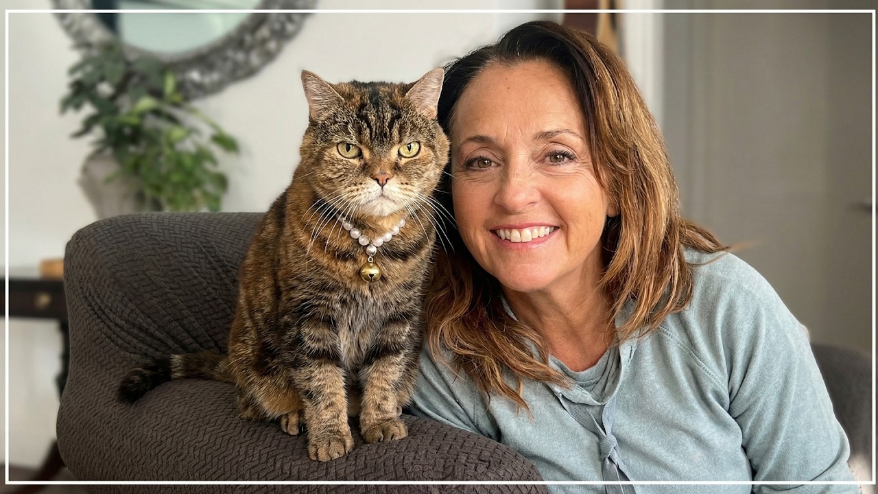 Chatting with My Cat is live!