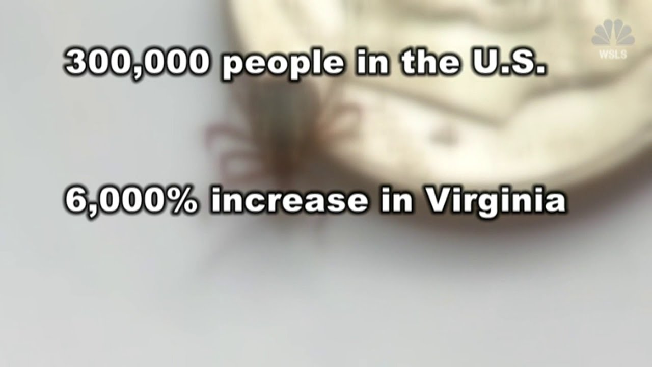 Virginia Tech researchers make discovery that can help those with Lyme disease