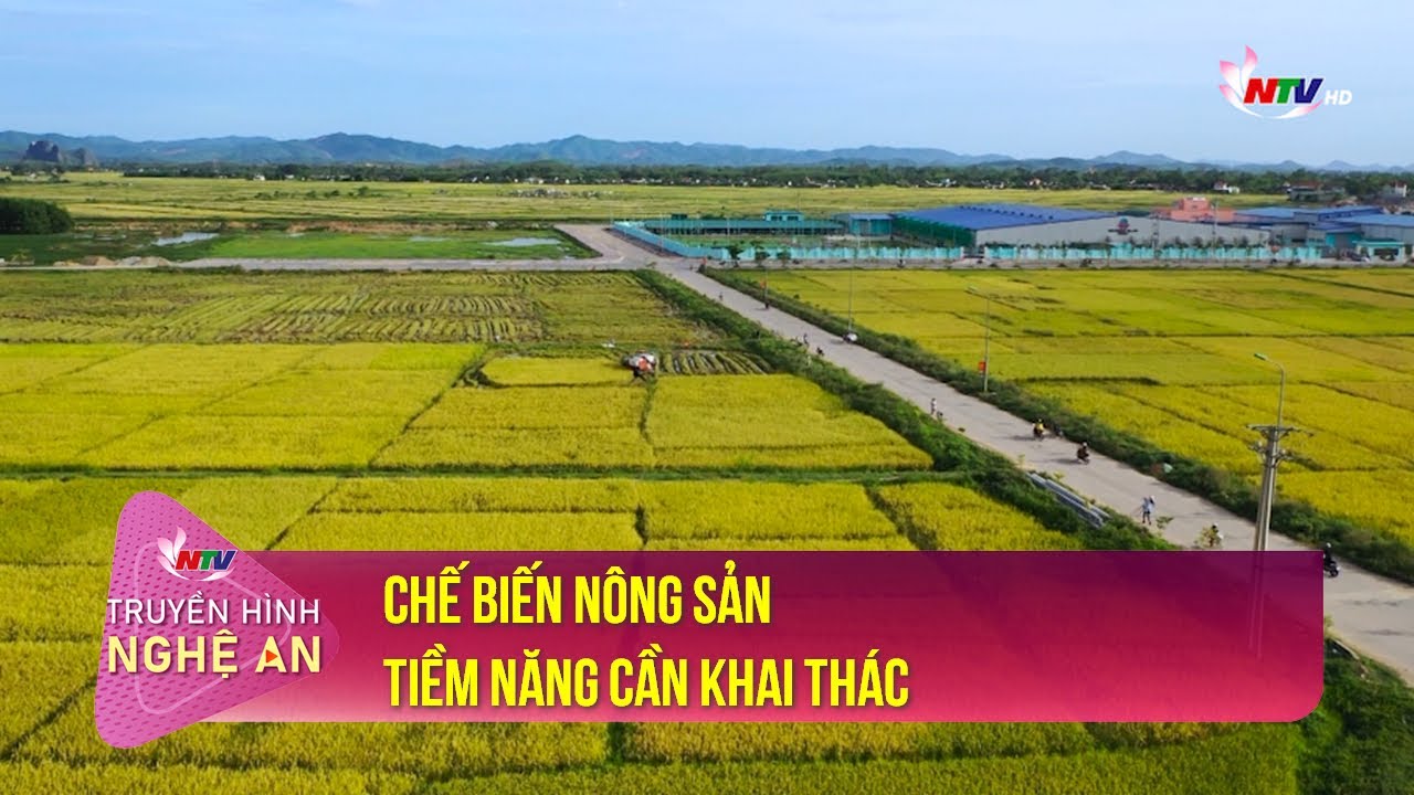 Chế biến nông sản - Tiềm năng cần khai thác | Tạp chí kinh tế cuối tuần