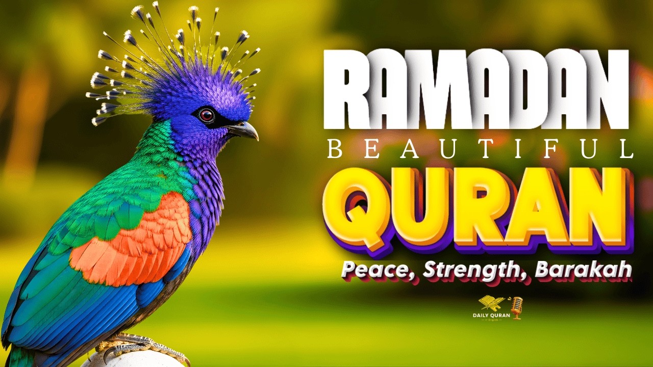 One Ramadan, One Quran, One Changed Heart| Peaceful Quran Recitation| Daily Quran