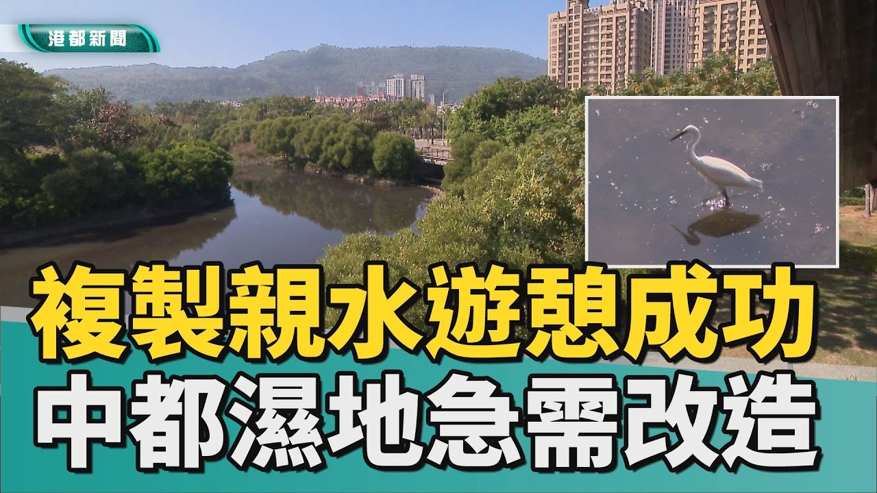 動物比人多｜複製星光親水遊憩成功 中都濕地公園要改造