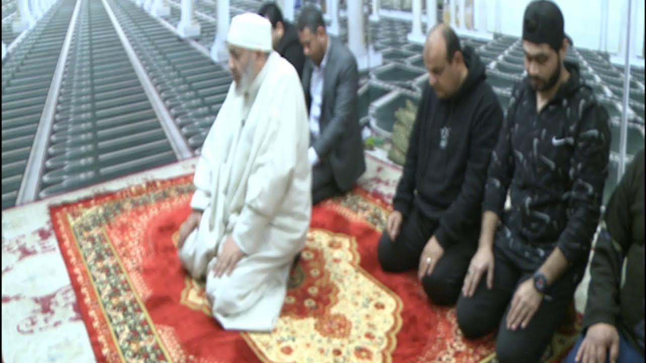 بث مباشر