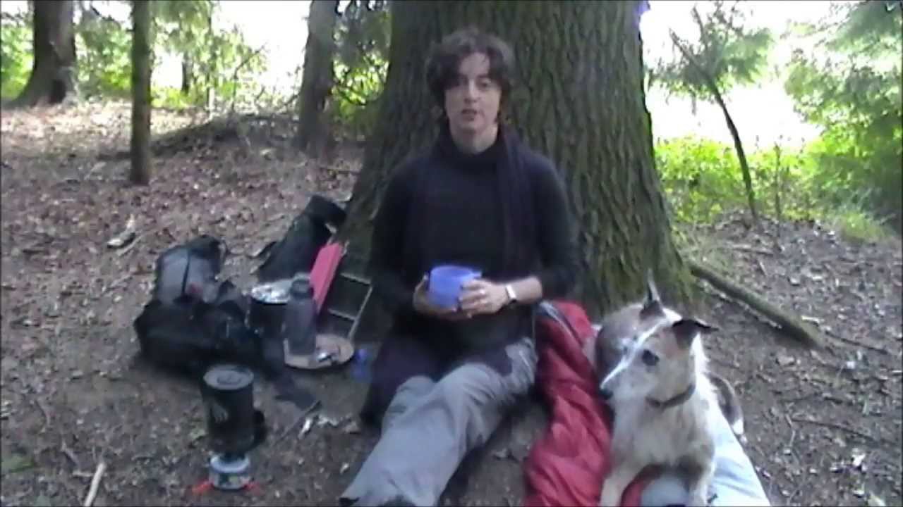 SOLO WILD CAMP IN WOODS