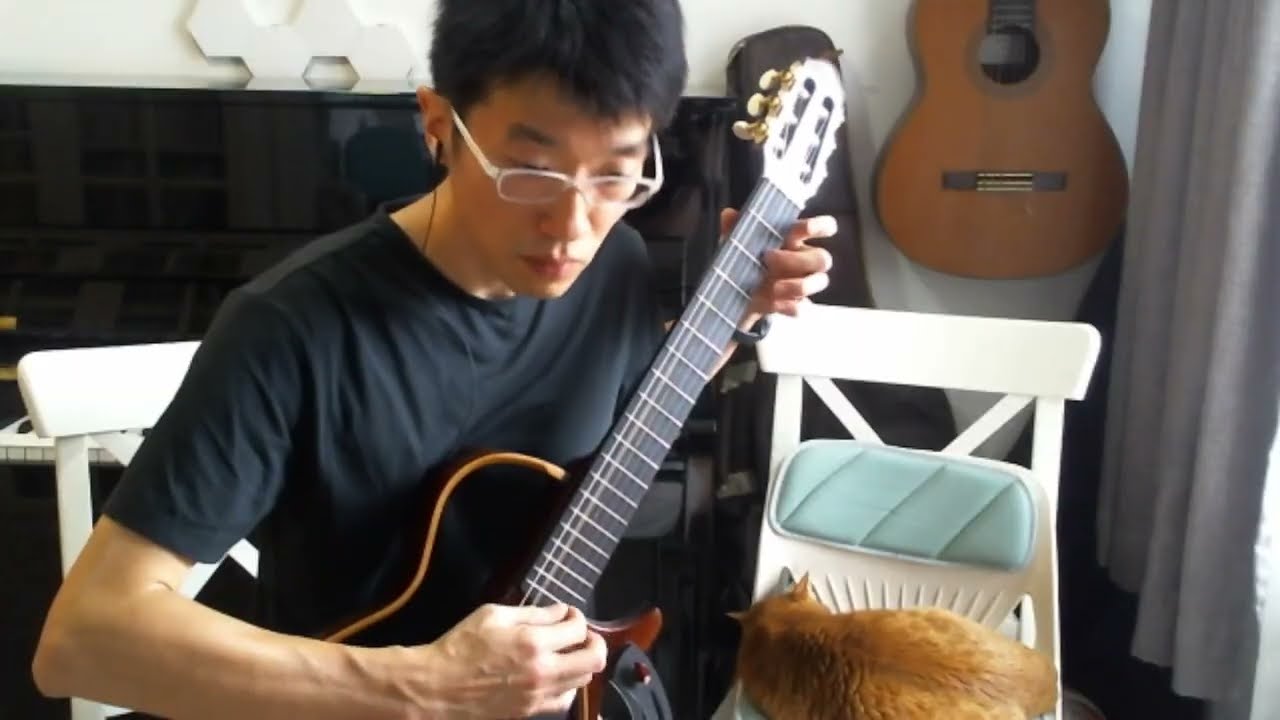 Love theme (Cinema Paradiso) - Ennio Morricone - Fingerstyle Guitar - 20250615