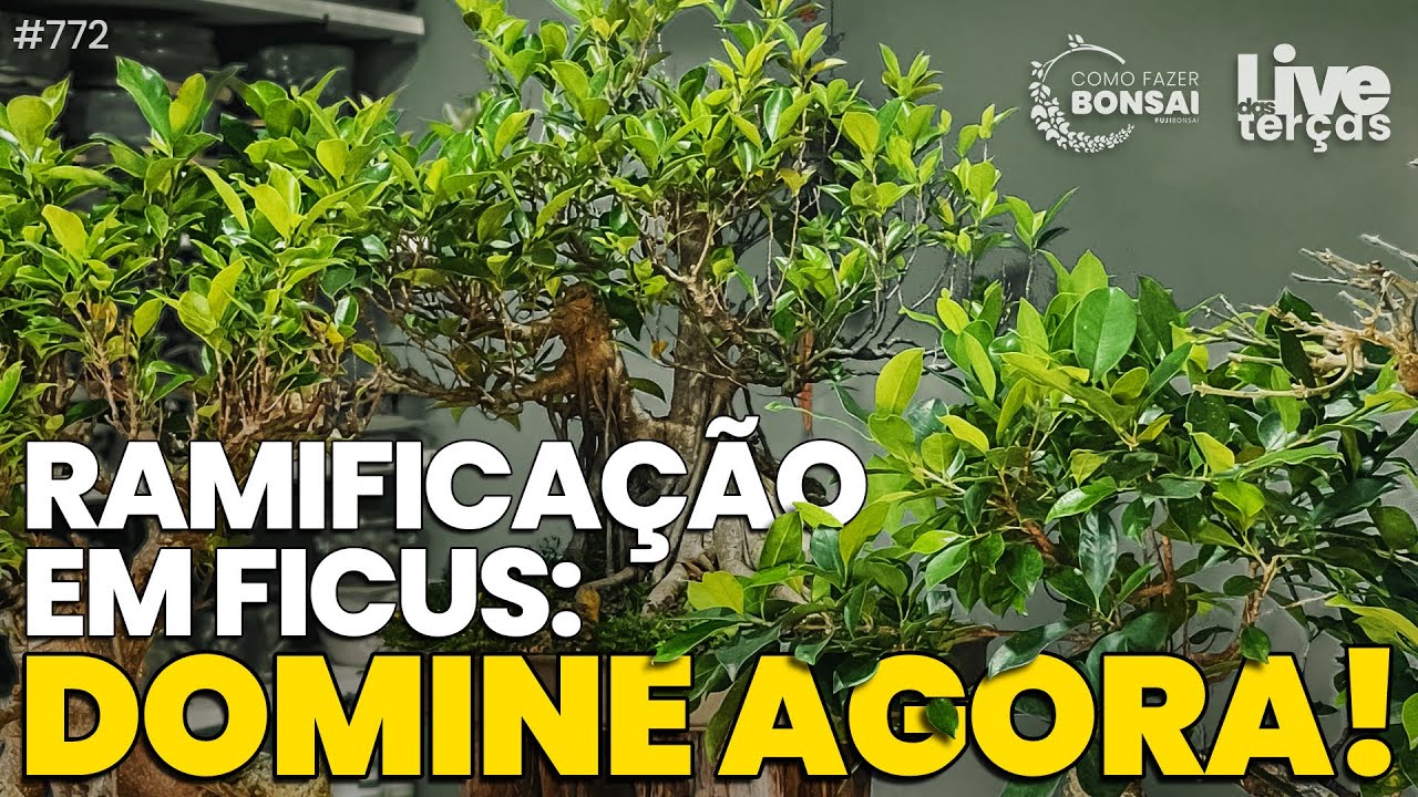 Como ter Mais Ramificações no meu Bonsai?!  |  LT 12 #772