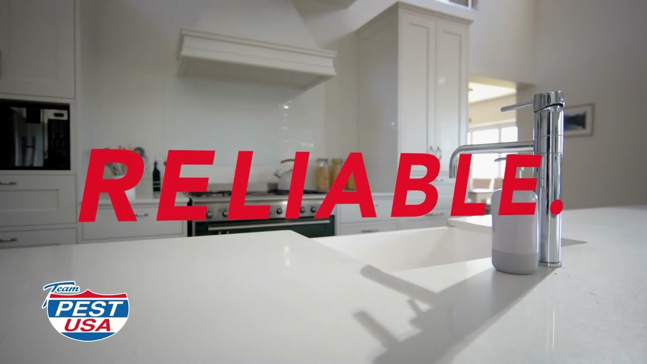 Fast, Reliable Pest Control | Keep Your Home Pest-Free with PEST USA