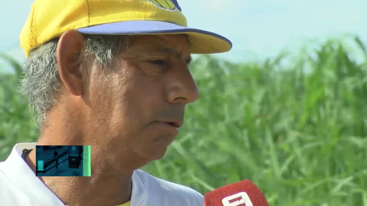 Crónica de un drone |  Puerto Sánchez de Paraná