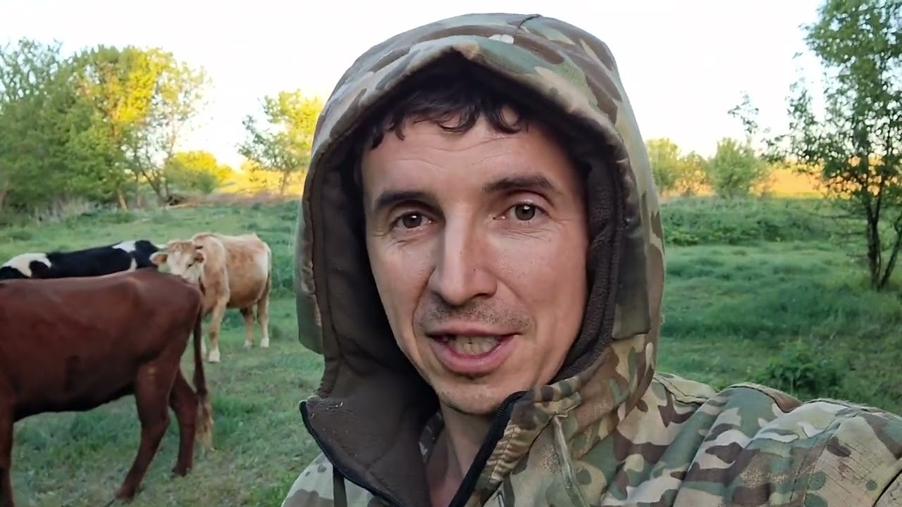 Основные Трудности в содержание коров?