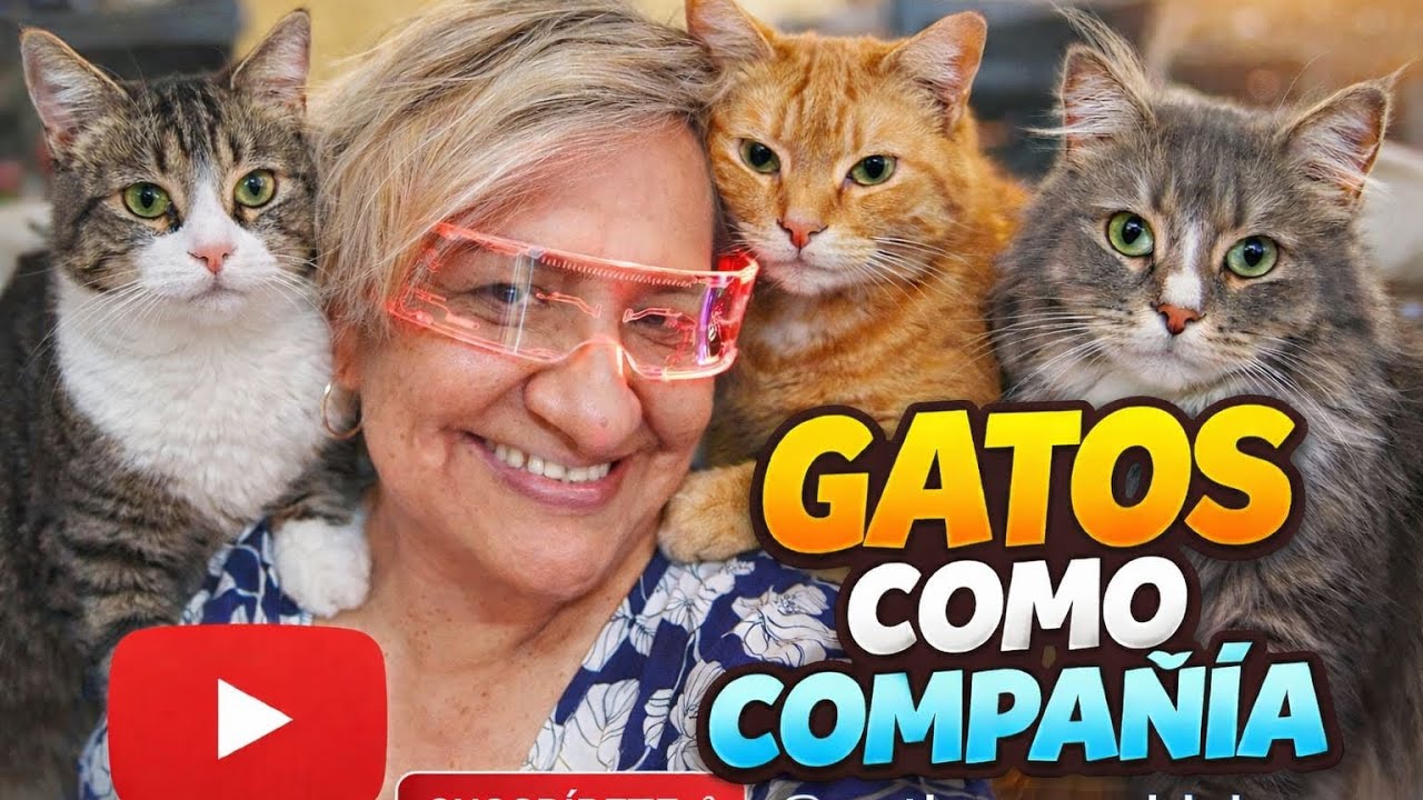 Gatos jugando en patio selvático 🥭🥭🐱🐱.#cat 