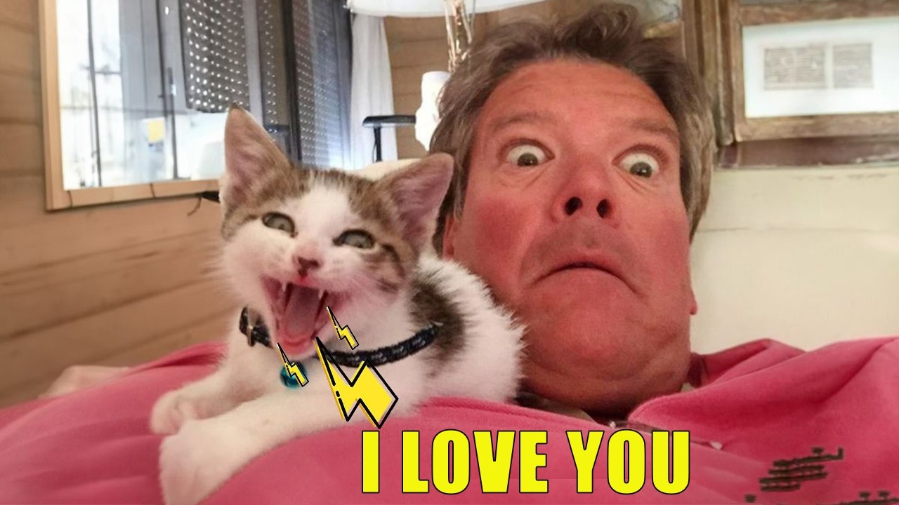 The Funniest Talking Cat Tries to Win an Argument with their Human 😂🤪 😹