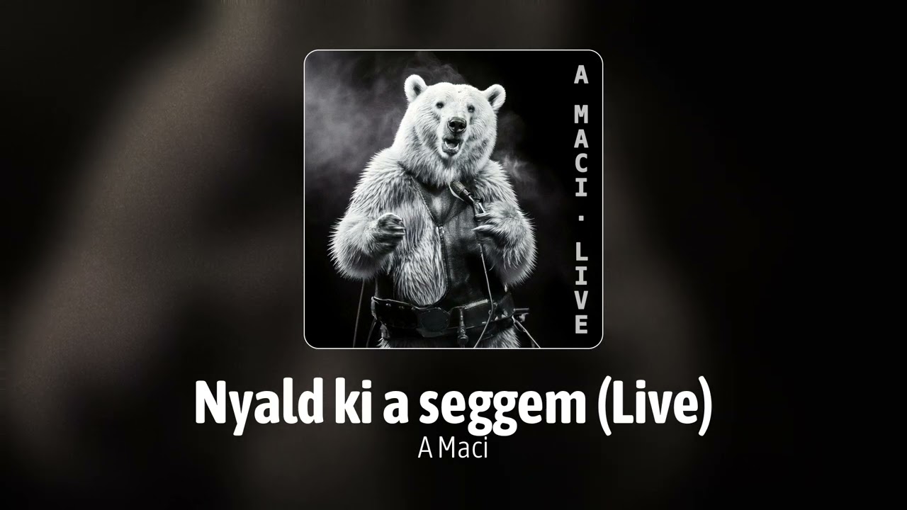 A Maci - Nyald ki a seggem (Live)