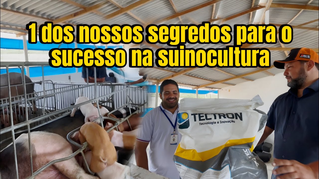 VISITA DO ZOOTECNISTA NA GRANJA / NOVIDADES PARA OS SUINOCULTUROES