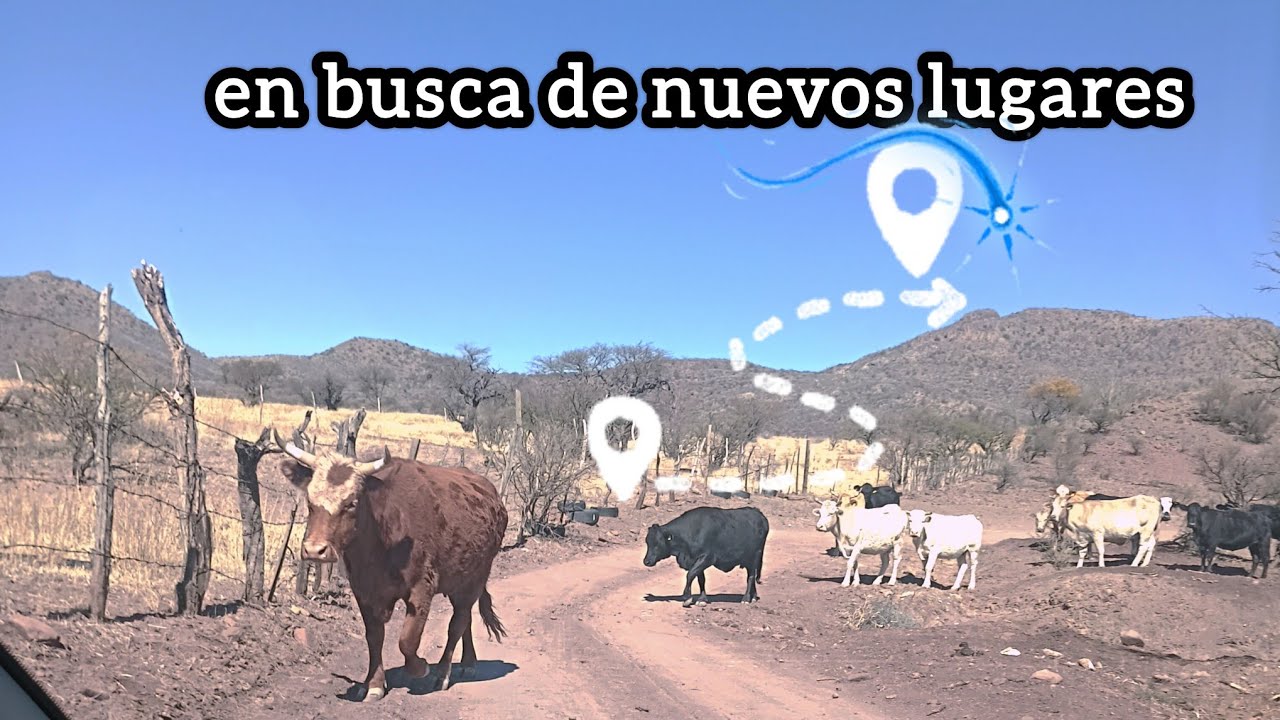 seguimos en busca de nuevos lugares 