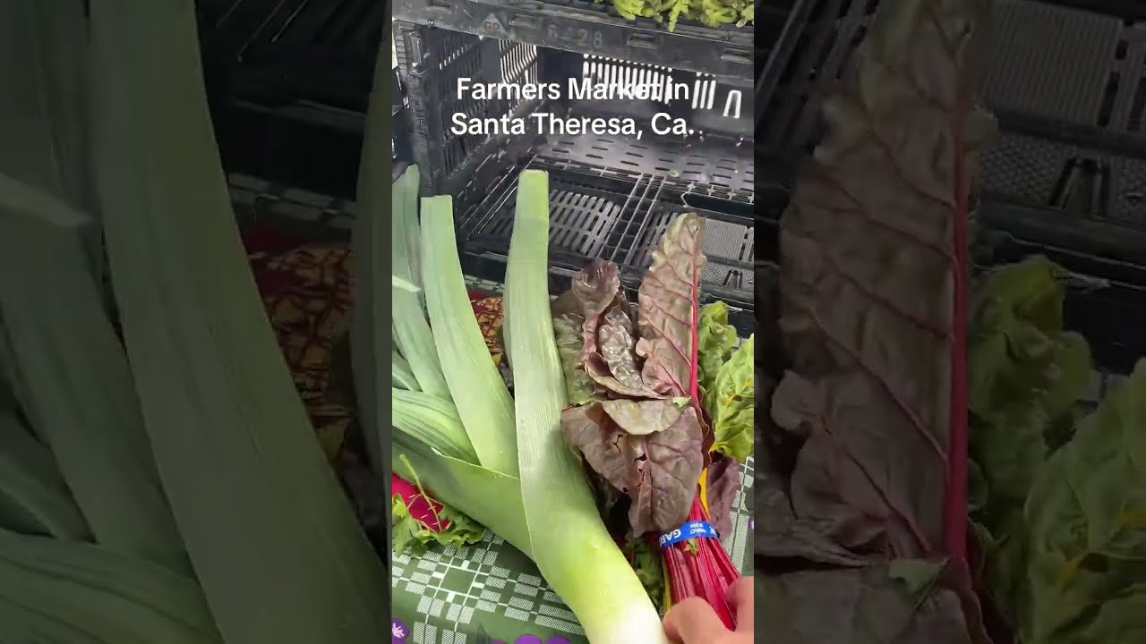 Organic & Farmer’s Market in Santa Theresa
