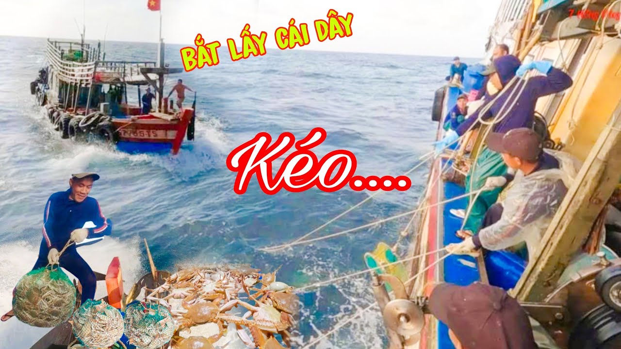 RẬP GHẸ 13_Ngày Tết Không Được Vào Bờ Mà Còn Gặp SỰ CỐ Lần Đầu Tiên Mới Thấy, RỐI NHƯ MÌ TÔM Luôn