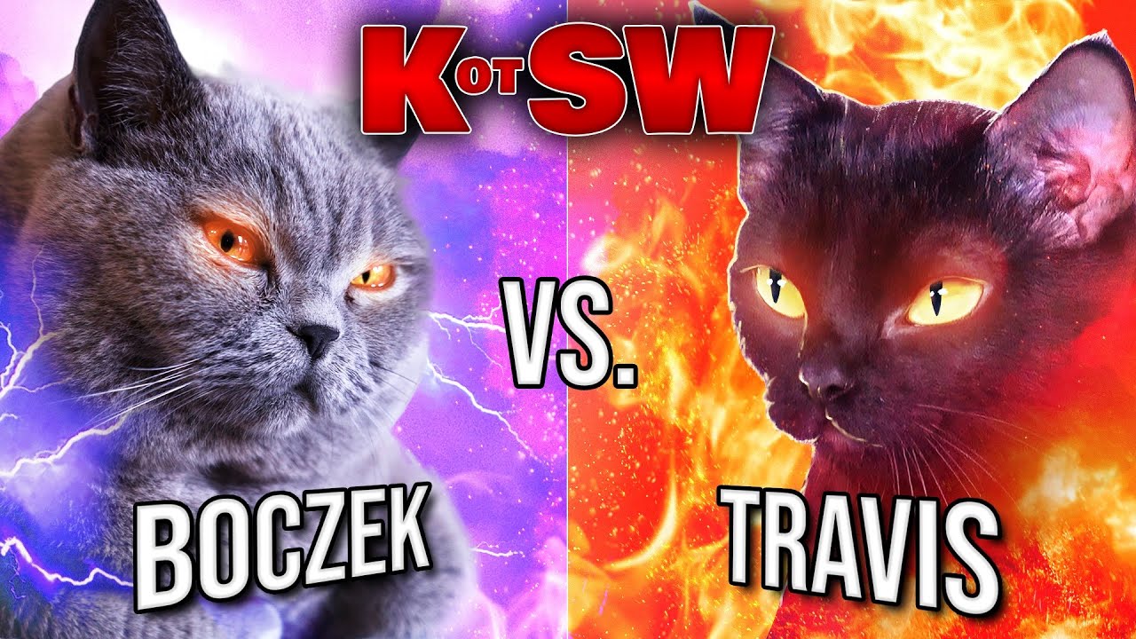 KOT VS KOT (Boczek VS Travis)