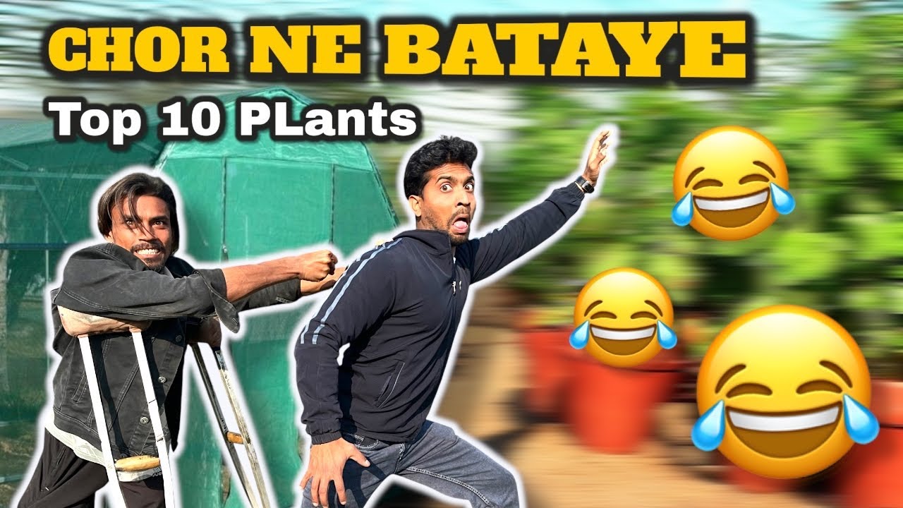 CHOR NE BATAYEN Top 10 Plants | Ar Rehman nursery | #farming 