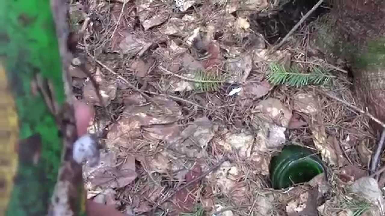 Digging through a bottle dump