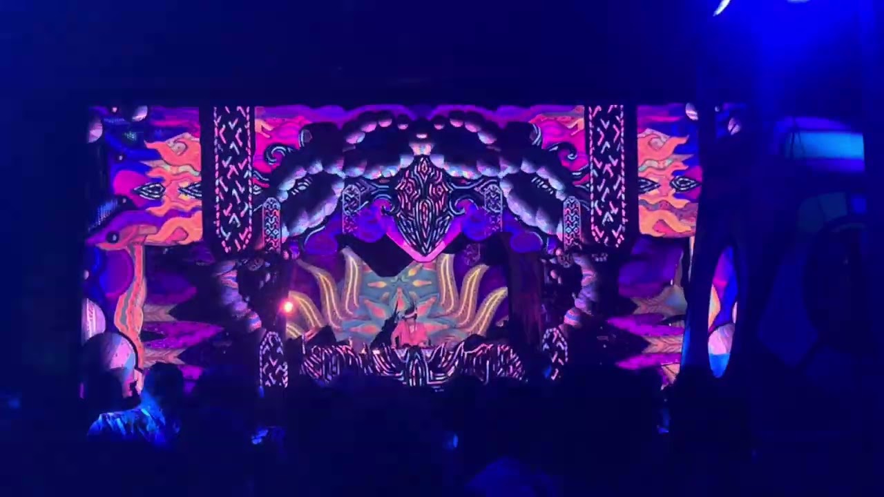 Shpongle @ Free Earth Festival 2025 (part 2)