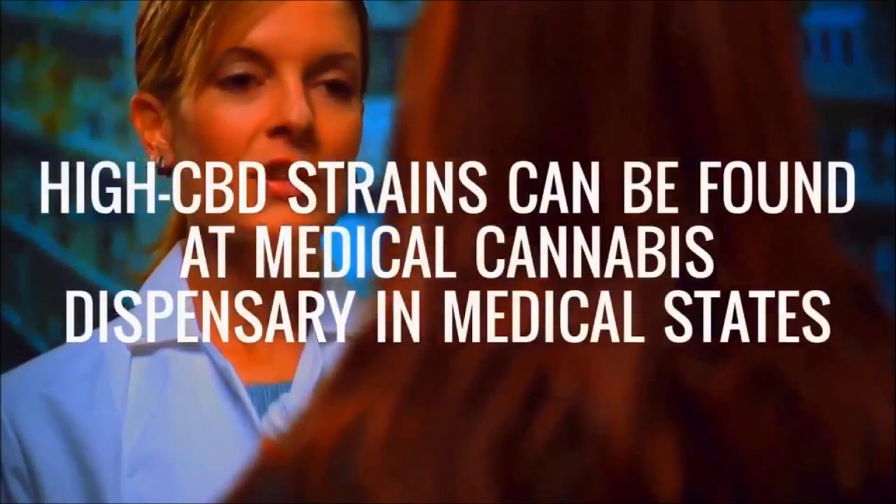 Advice For First Time CBD Oil Users with WeedBorn