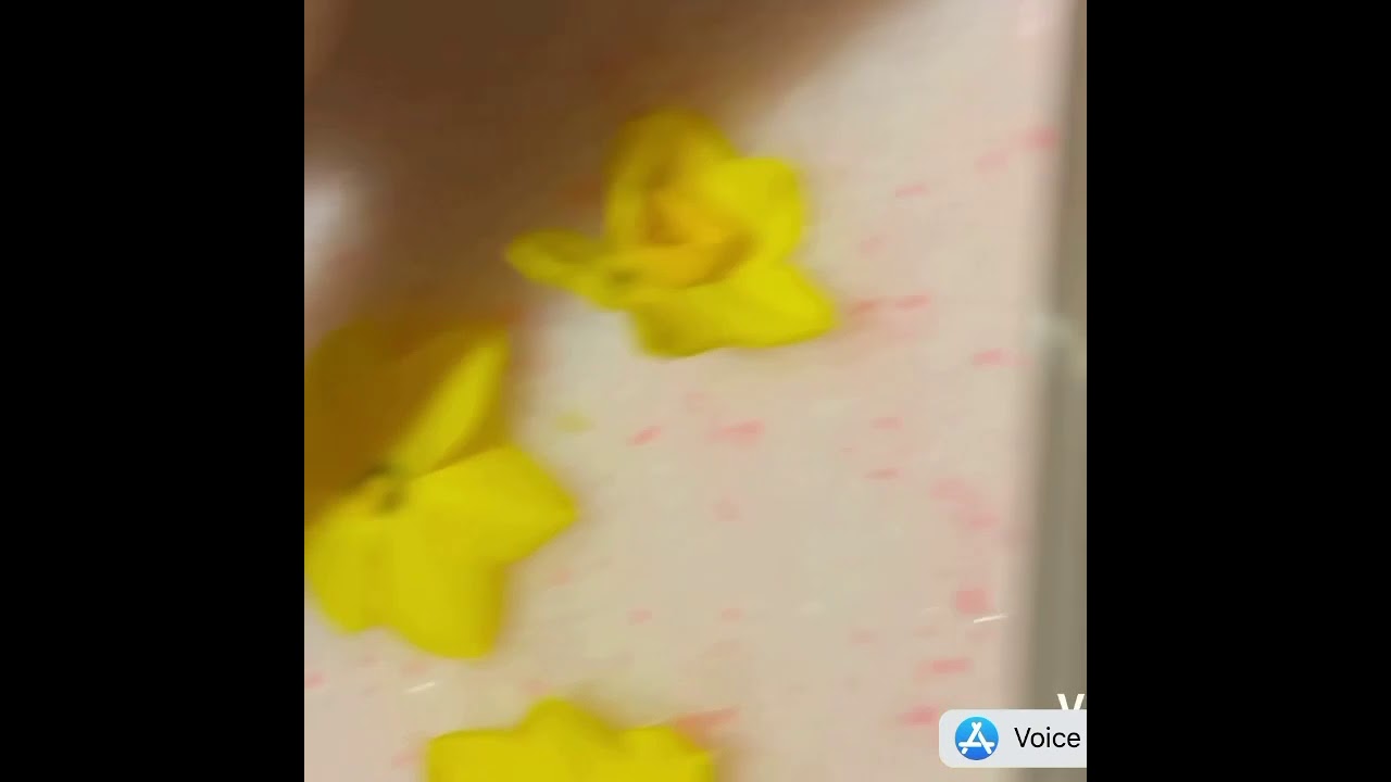 How to dry flowers with silica sand, works with daffodils and other types of flowers