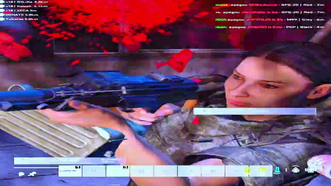 DAYZ PLAY HL