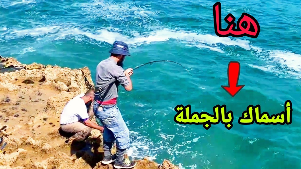 لم نتوقف عن سحب الأسماك طول اليوم .  vlog 4