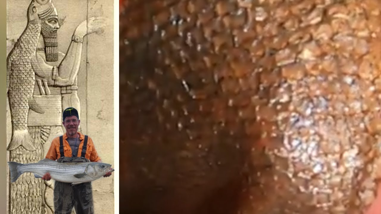 FISH SKIN LEATHER