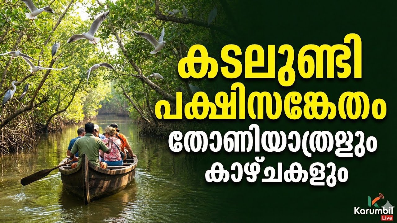 കടലുണ്ടിയിലെ അത്ഭുത കാഴ്ചകൾ! കണ്ടൽക്കാടുകൾക്കിടയിലൂടെ ഒരു തോണിയാത്ര | Kadalundi Bird Sanctuary Tour
