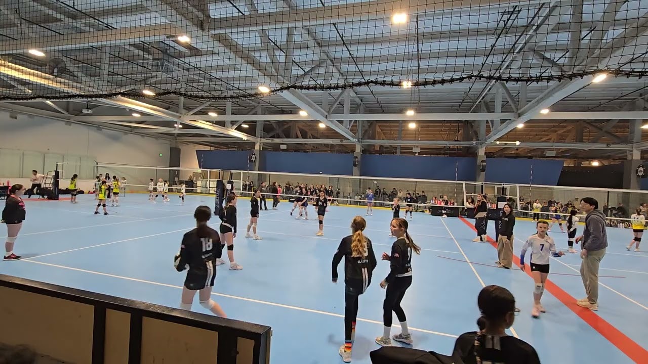 2/15/2026 Slainte 11 vs Stingray Black 12-1 1st Set