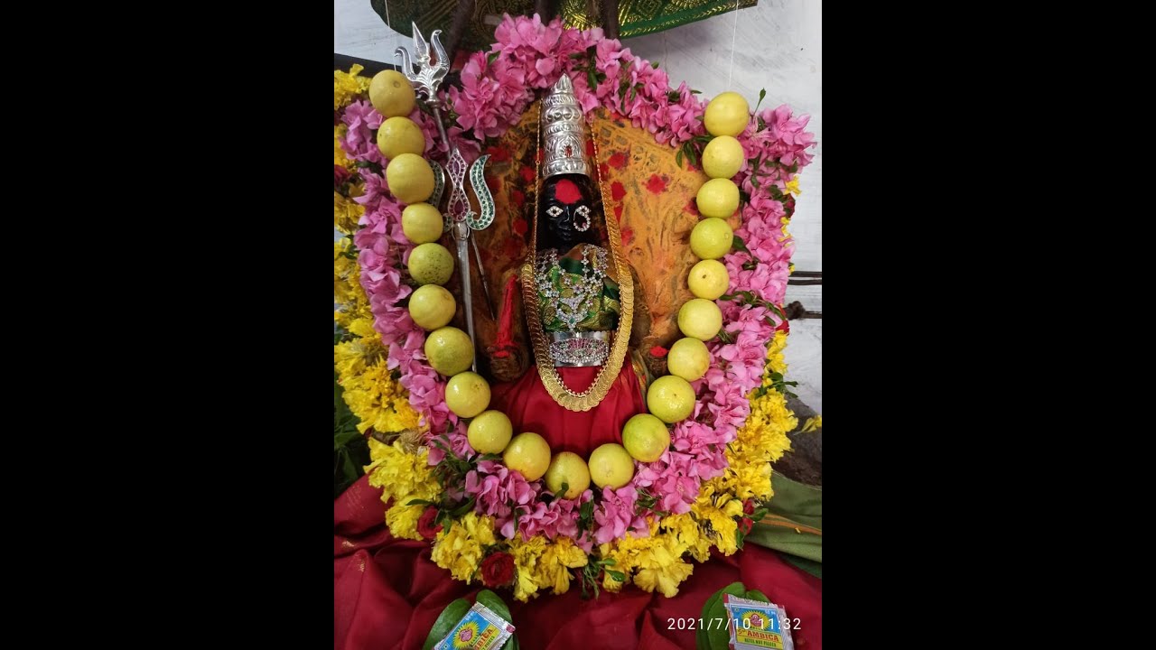 Sri DharmaPellemma Devi  PallakiSeva2026 (శ్రీ ధ్రమపెళ్లెమ్మ దేవి పల్లకి సేవ 2026)