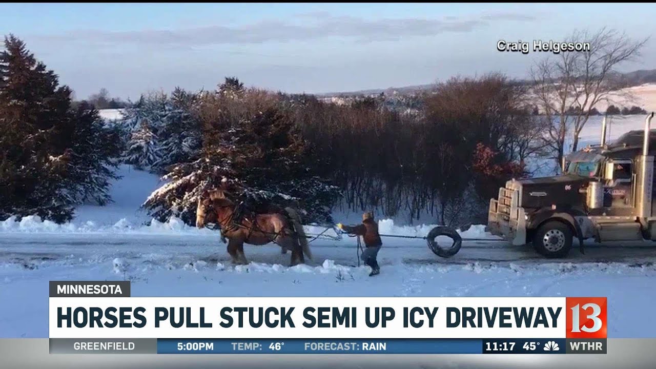 Horses pull stuck semi up icy driveway