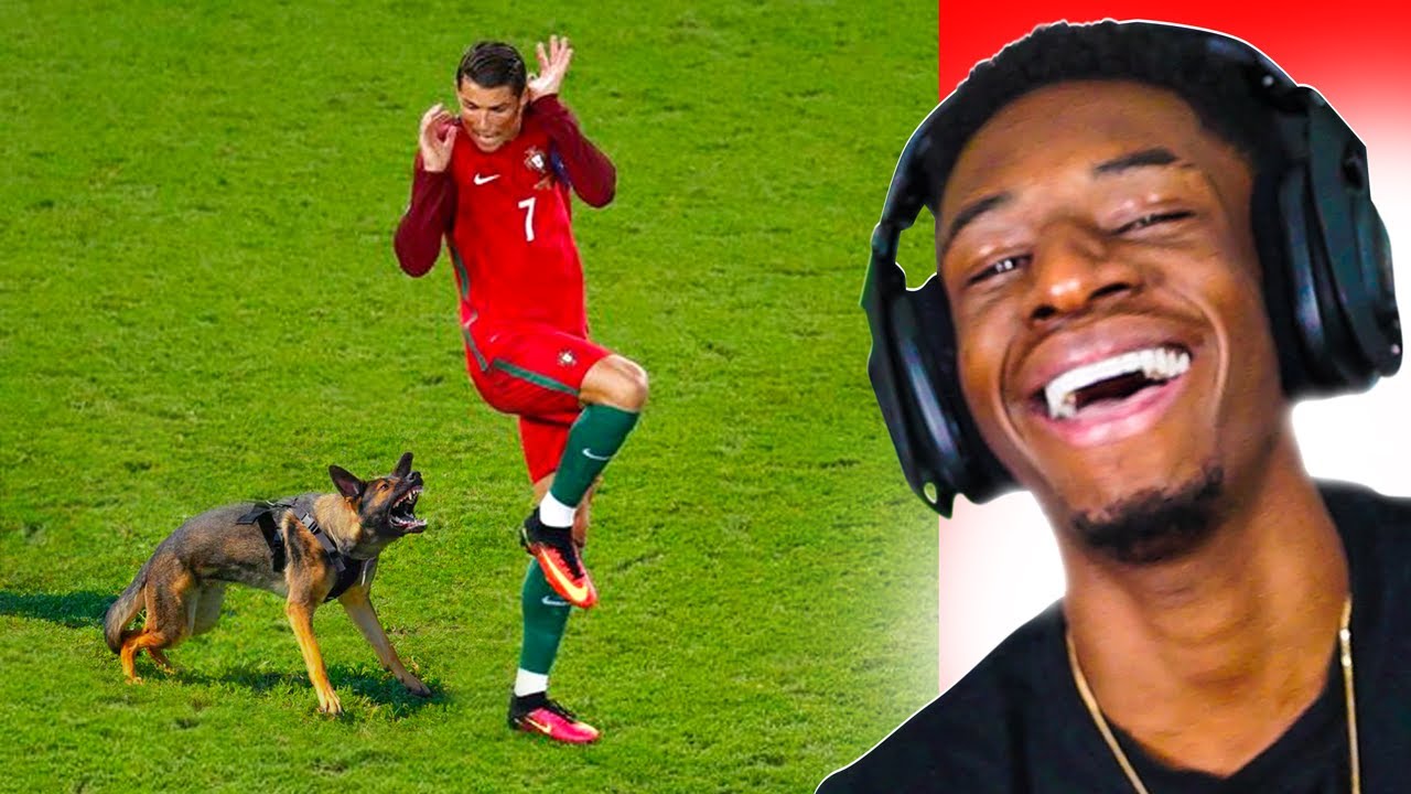 WHEN ANIMALS UNEXPECTEDLY INTERUPT SPORTS!