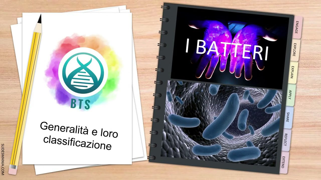 I BATTERI  1° PARTE : Generalità e loro classificazione