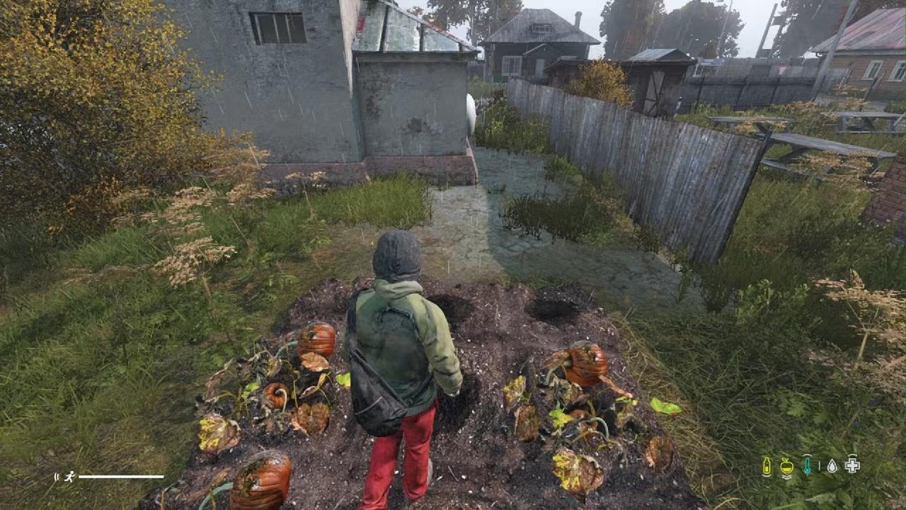 DayZ