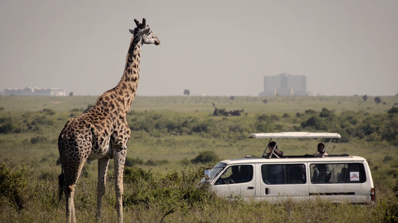Last of the Longnecks - Documentary Trailer
