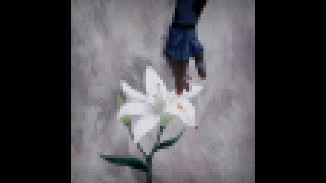 "Flowers for Death Machines" by voidhost but I added some violins to it